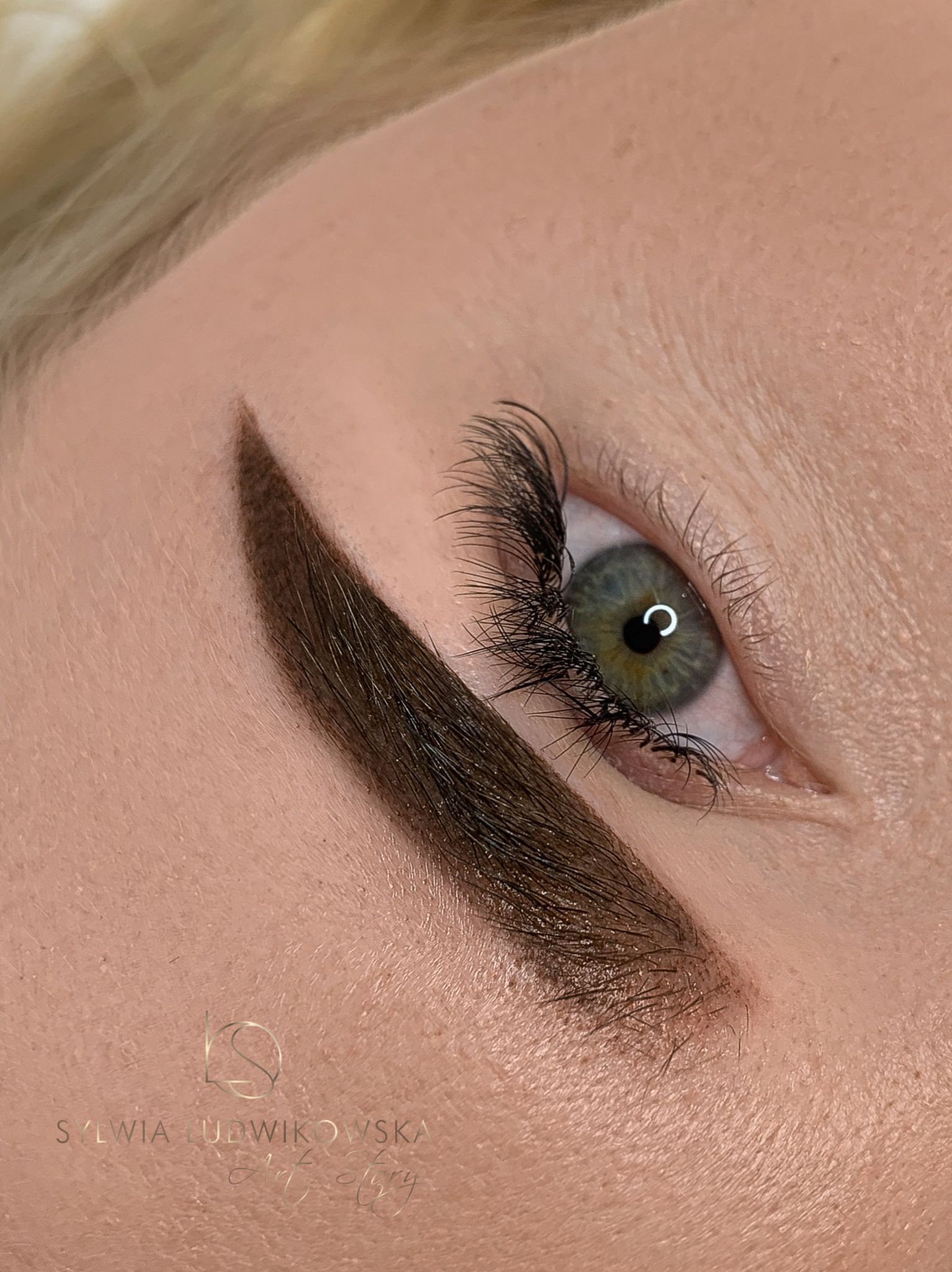 Naturalny efekt cieniowania brwi pudrowych – Poznań