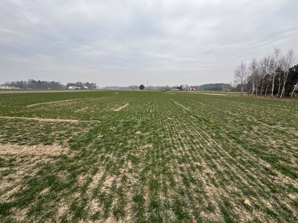 Ogłoszenie o pierwszej licytacji nieruchomości