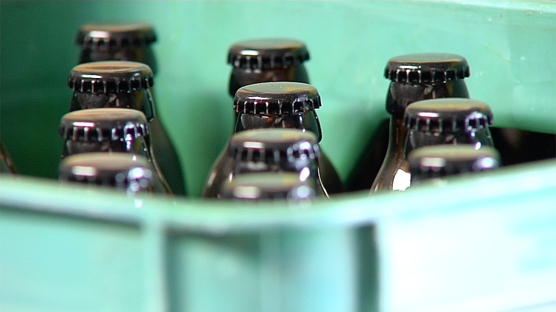 Setki osób już wypowiedziały się w sprawie nocnej prohibicji [WIDEO]