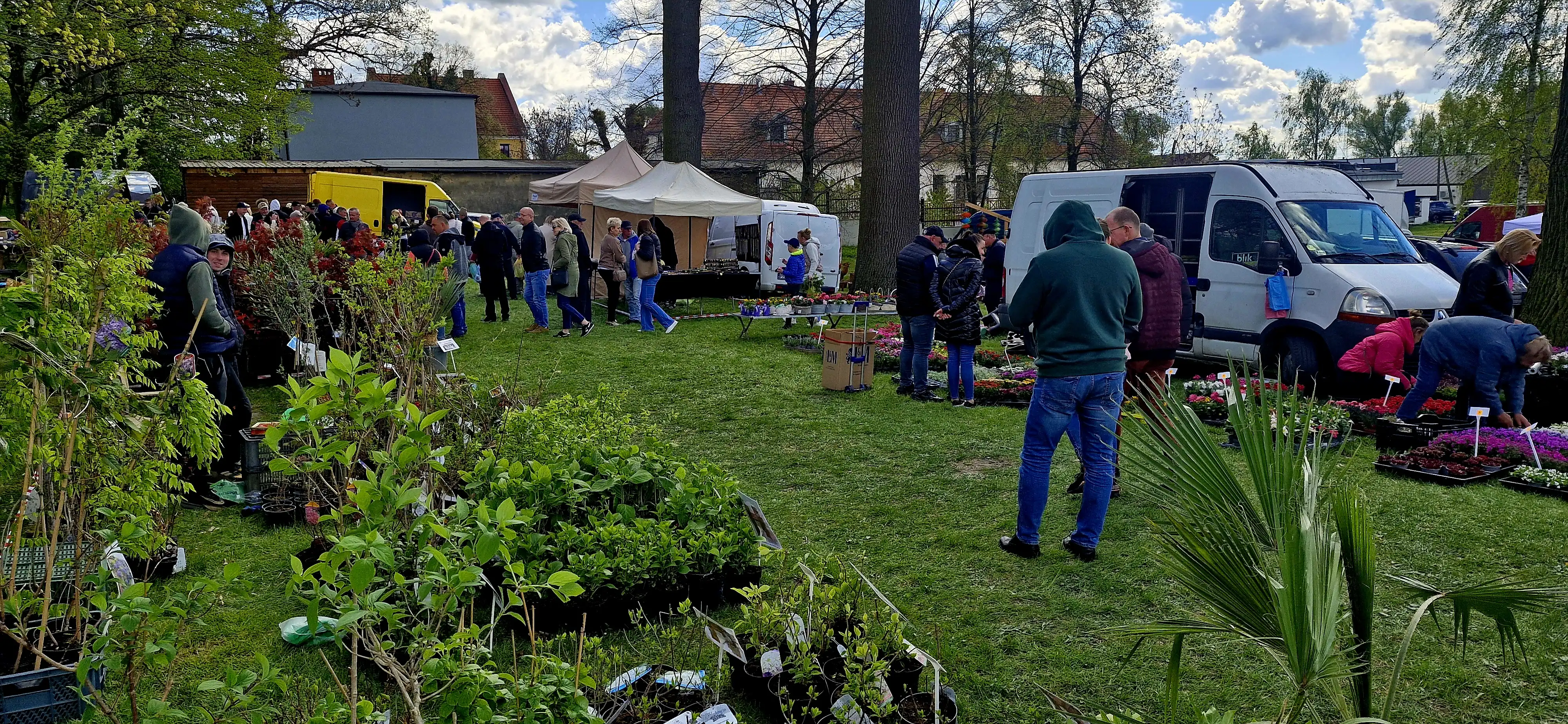 Przygodzice znów zakwitły. Ćwierć wieku znanych w regionie targów [FOTO]