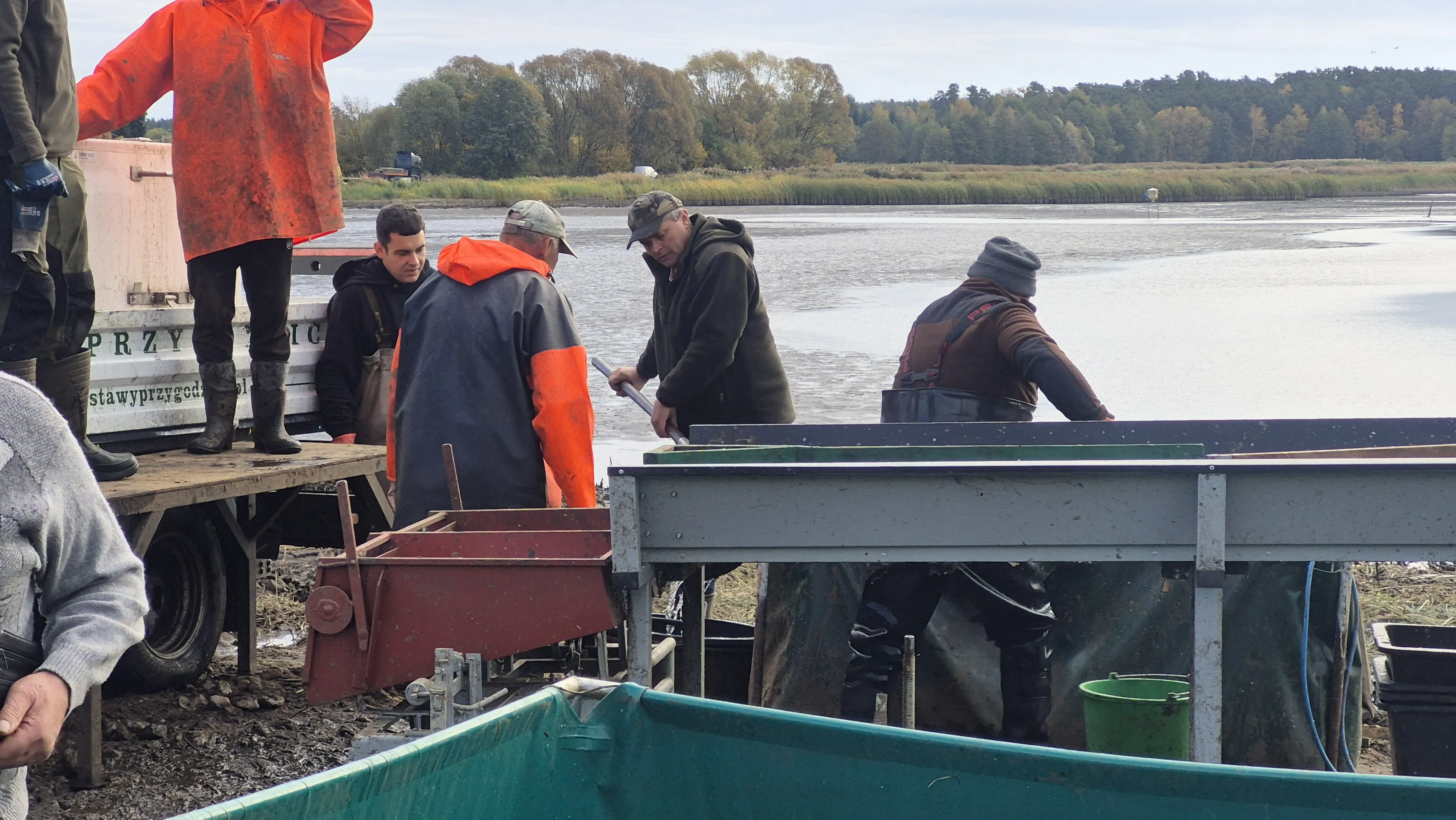 Lokalny karp przyciągnął tłumy. Mieszkańcy już robią zapasy